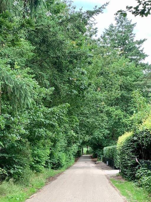 Op Boszicht Genieten Van De Rust & Natuur Putten Kültér fotó