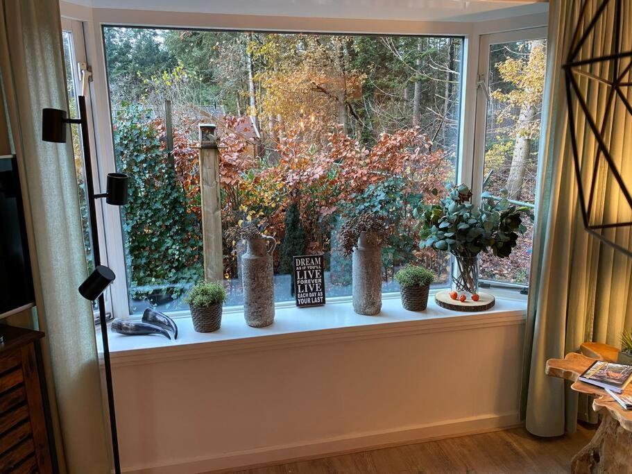 Op Boszicht Genieten Van De Rust & Natuur Putten Kültér fotó