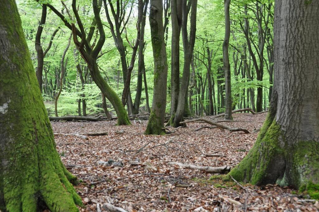 Op Boszicht Genieten Van De Rust & Natuur Putten Kültér fotó